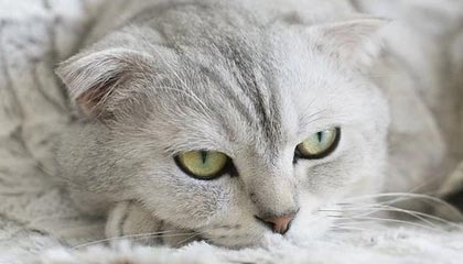 爱游戏app-球场震撼！国家队再下一城，实力稳坐领先位置，国家队还有后续吗