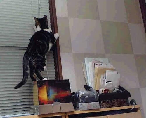 _生态水上运动天堂:自然与运动的完美融合_,水上运动发展