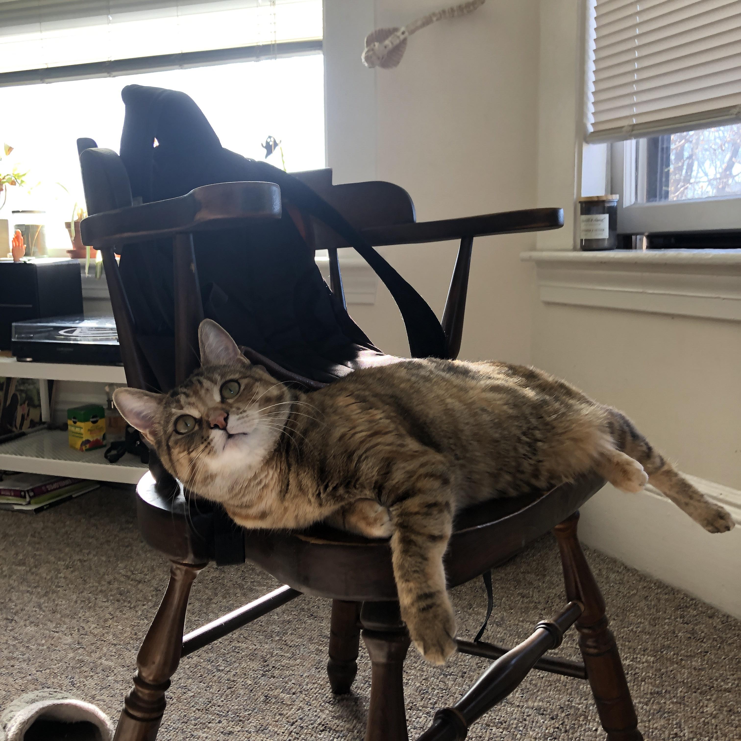 湖南省青少年篮球运动员技术培训班成功举办，湖南省篮球协会