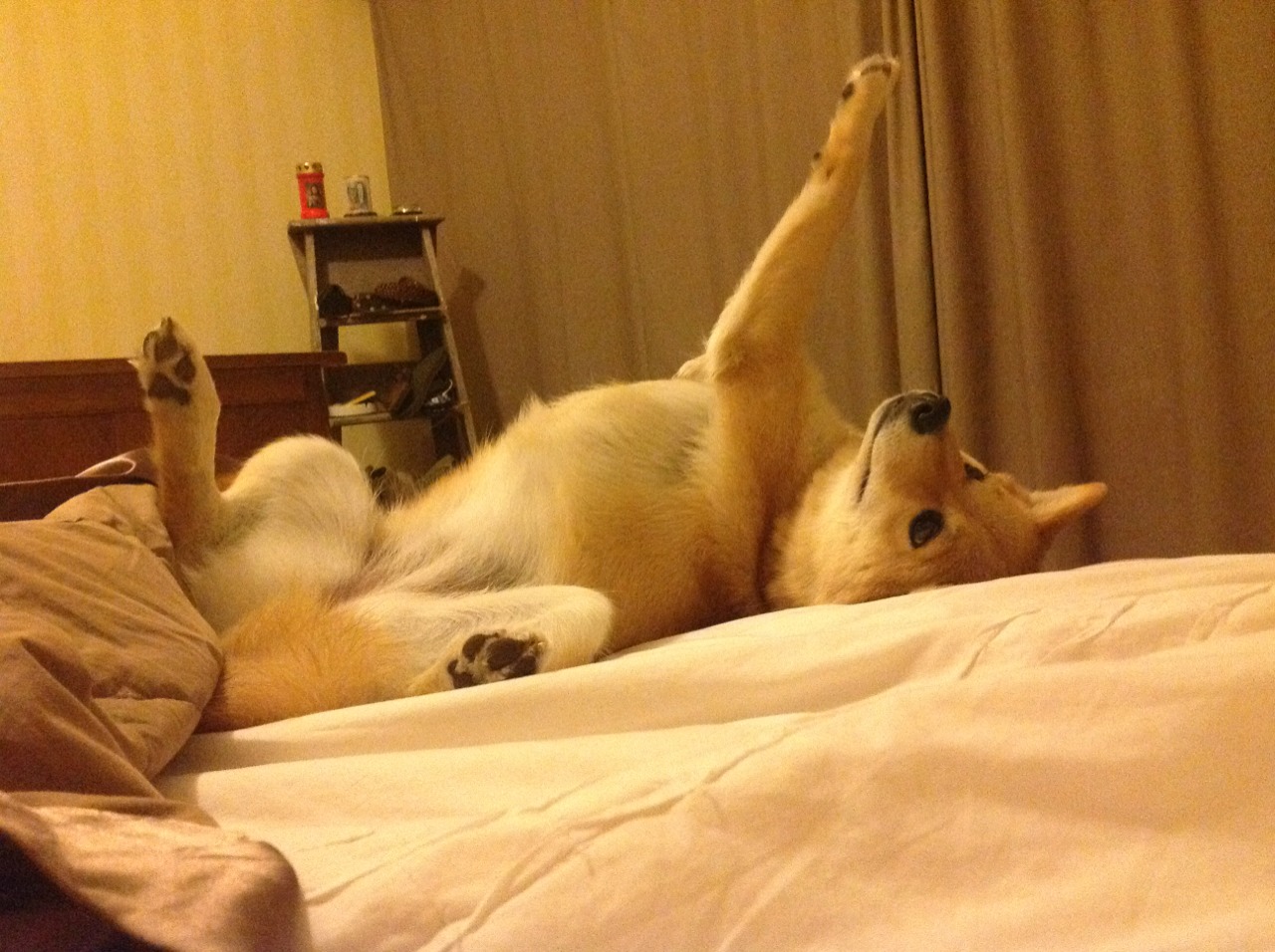 经典回放:本场比赛精彩瞬间集锦!,比赛回顾视频