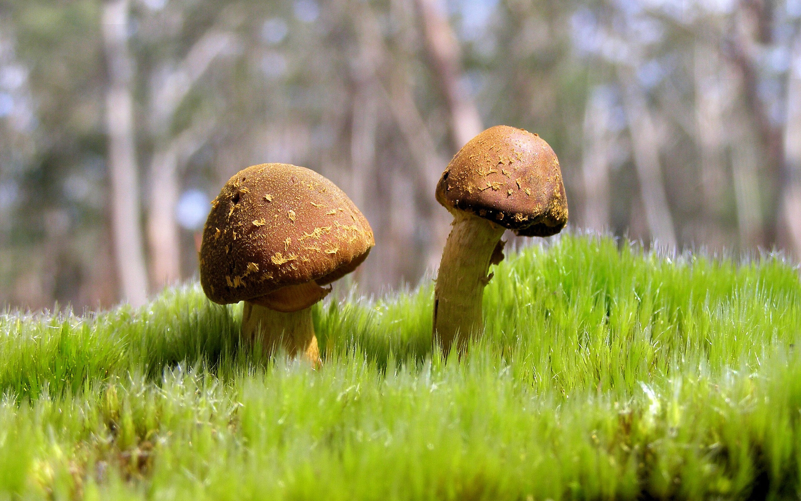 AYX体育-LCK战队体能训练成果显著，lck 队伍