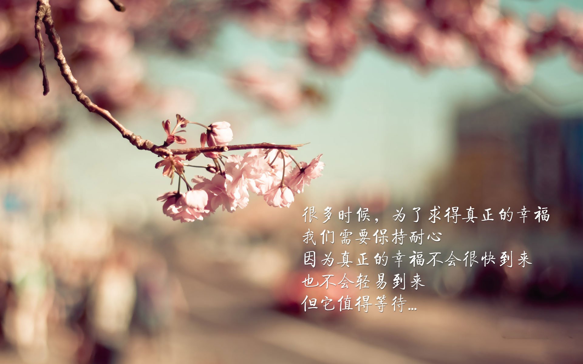 最热:布拉格斯拉维亚神勇晋级,欧冠半决赛!,布拉格 欧洲