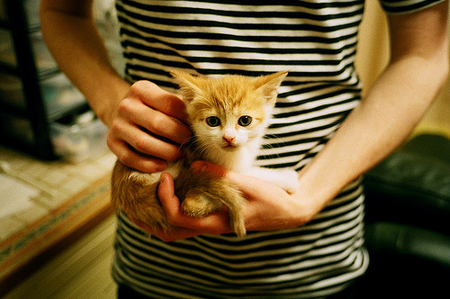 激烈电竞总决赛宣传片全球同步上线,电竞激励