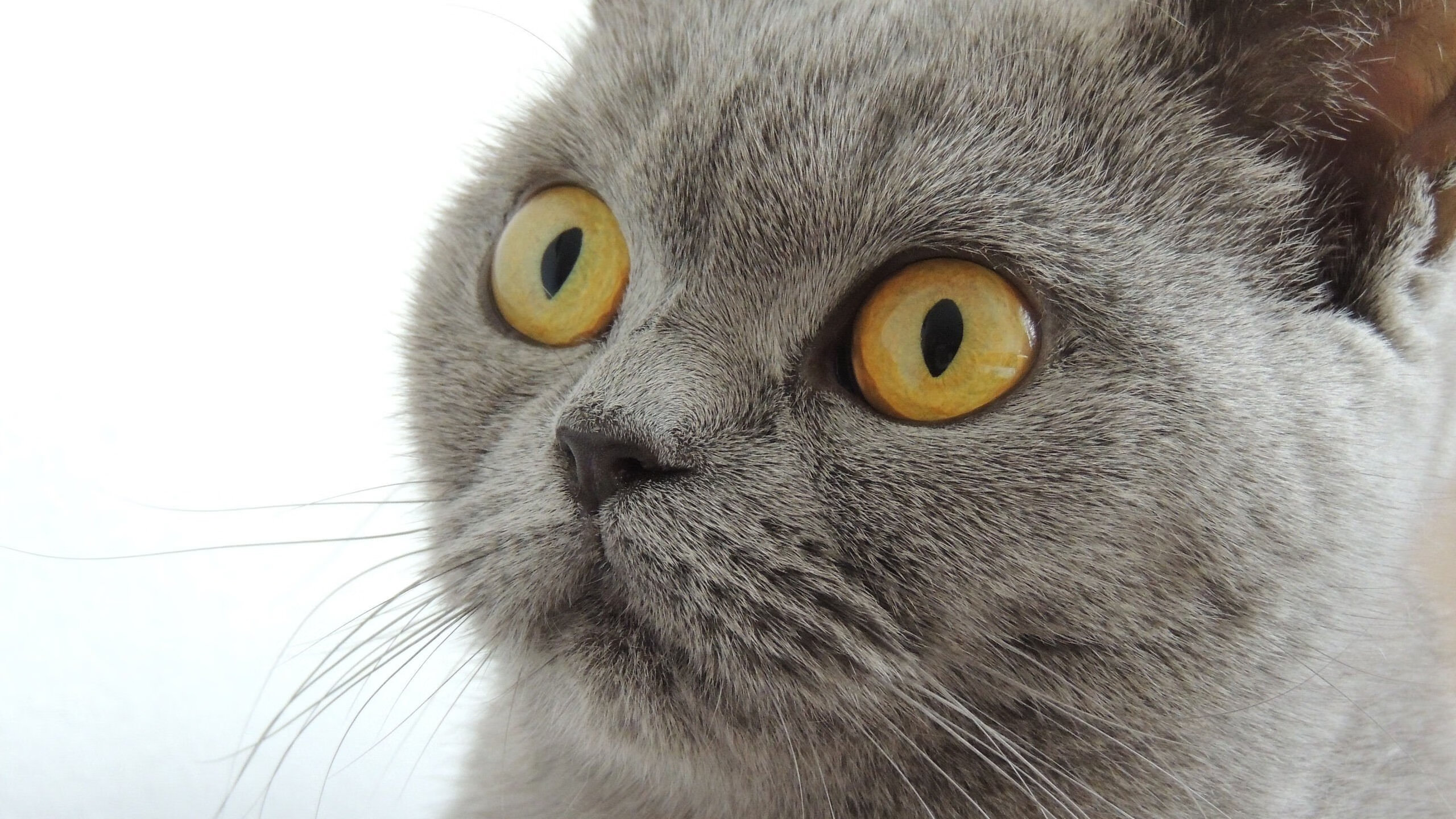 爱游戏体育（AYX）官方APP下载-体育赛事多渠道传播方案设计，体育赛事的宣传方法