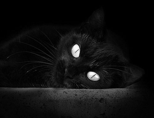 CBA联赛推广校园篮球活动,校园篮球赛宣传方案