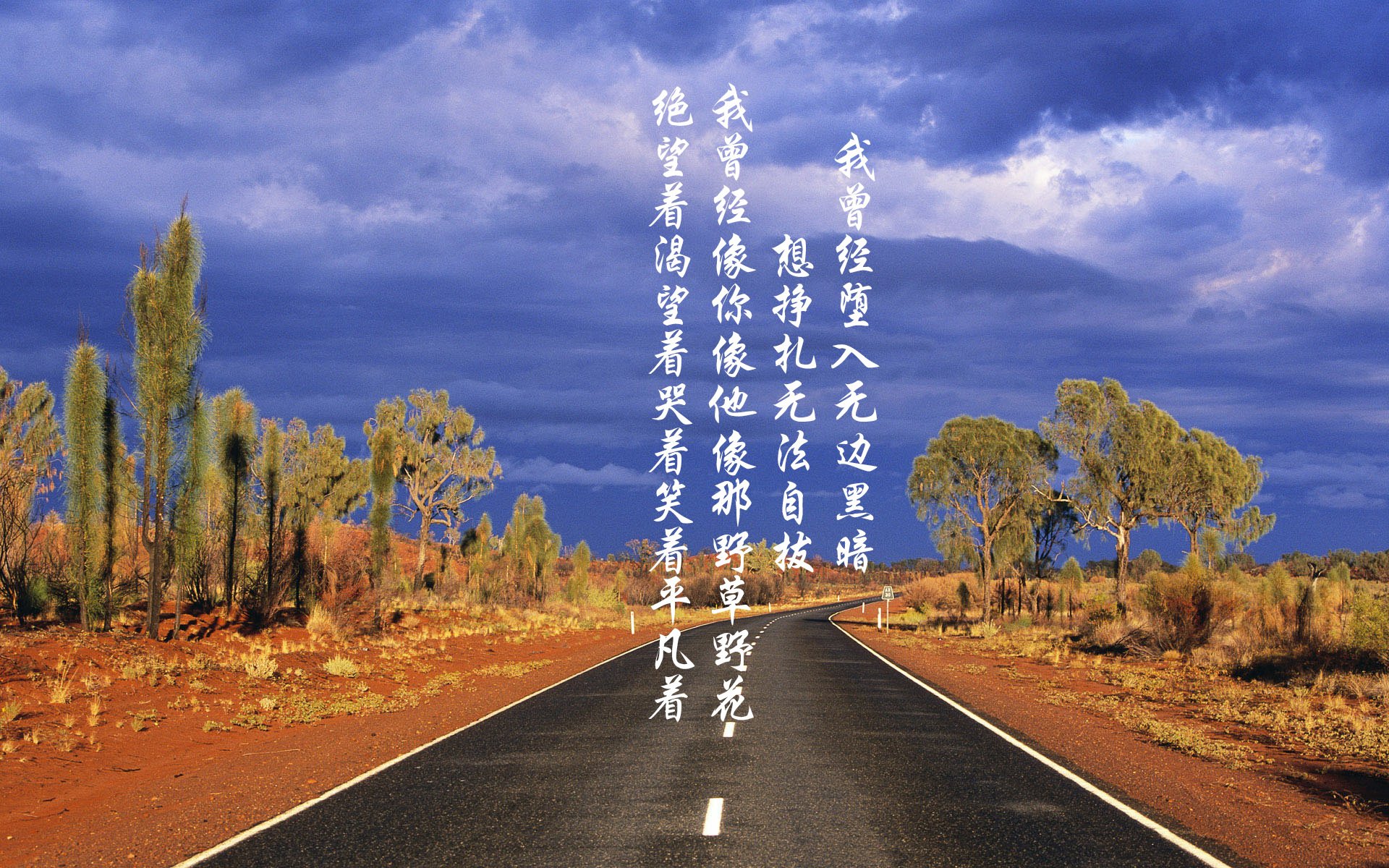 杨瀚森赛季中段状态回暖成为战术核心,杨翰笙个人介绍