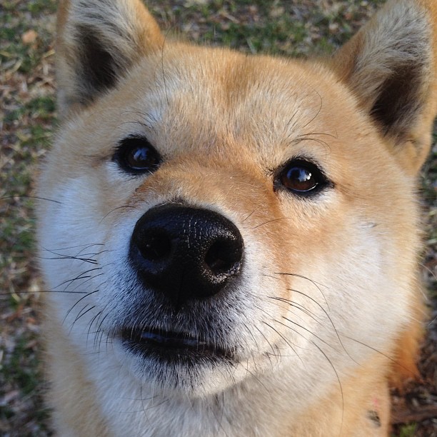 节奏加快是否有助于激发替补球员状态，节奏型球员