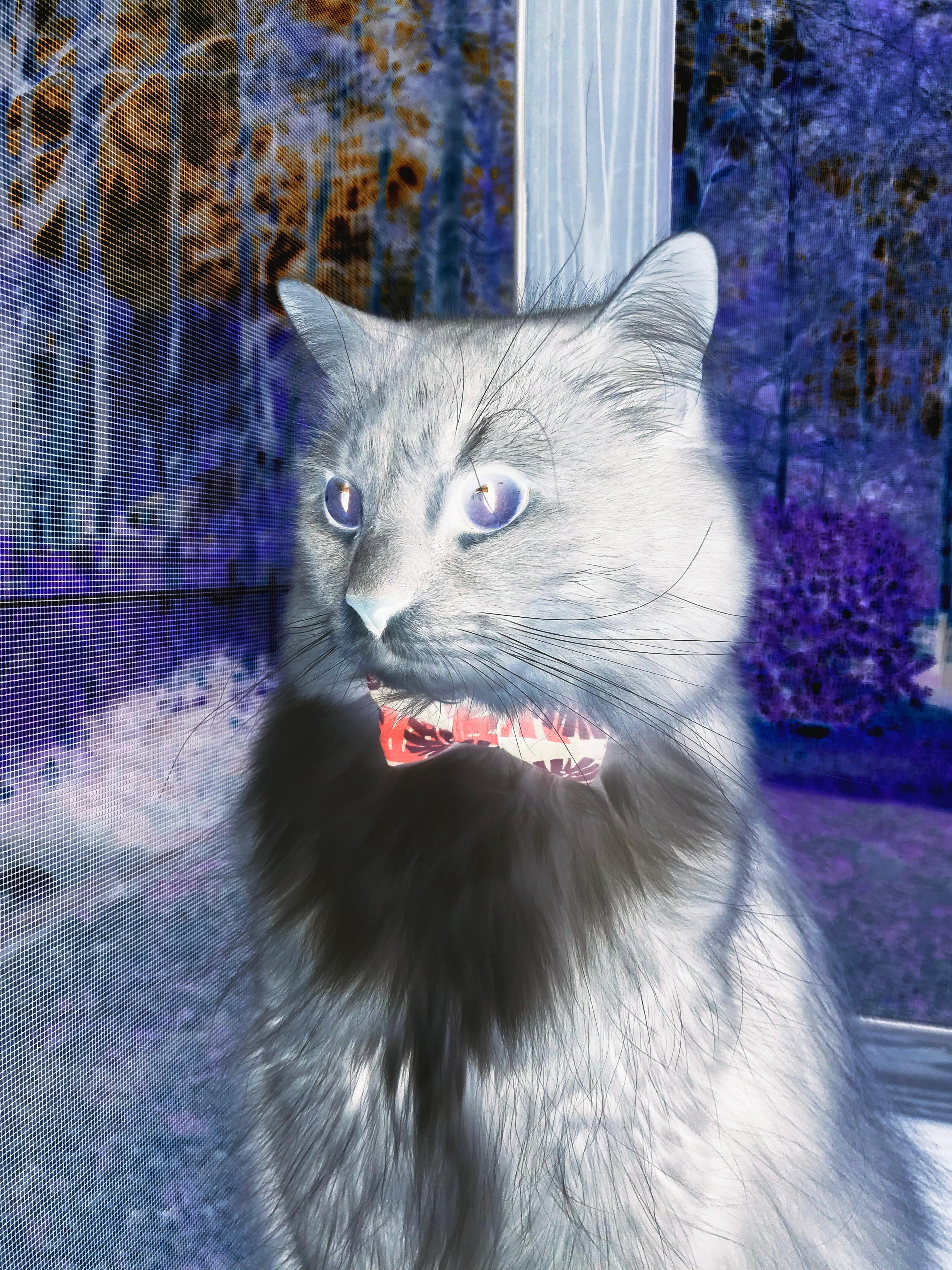 爱游戏在线登录入口-瑞安的球场视野和决策力，令全黑队攻防更具深度，瑞安十八家球场