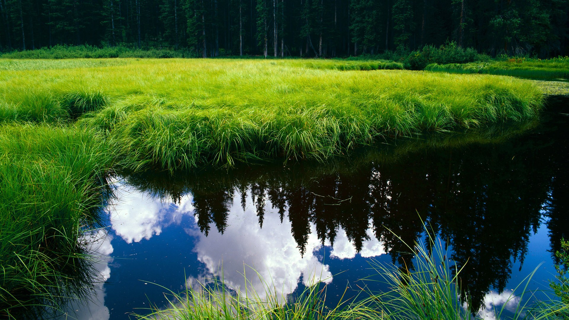 赛事期间志愿者团队表现专业获广泛好评,比赛志愿者的作用