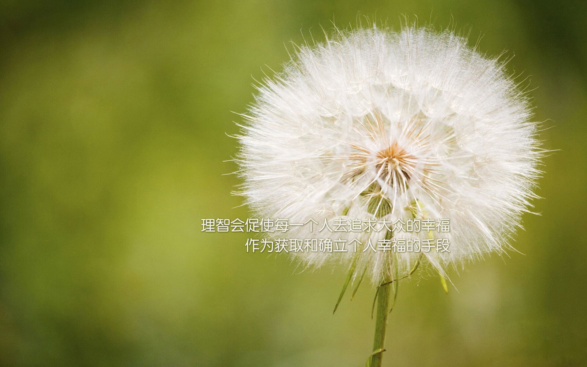 AYX体育官网-马刺战术体系逐步建立新秀快速适应，马刺的战术体系